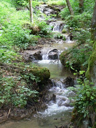 Vodeni tokovi_2008_013